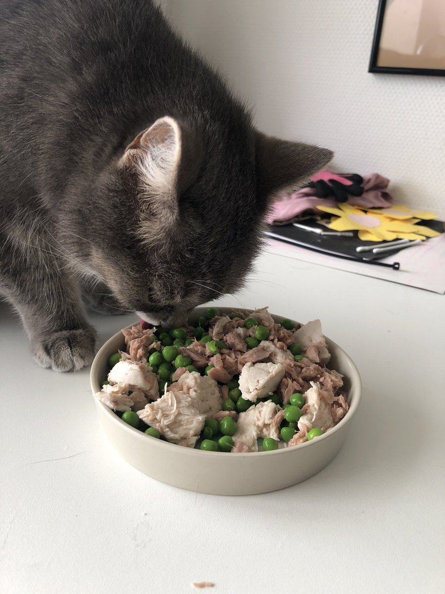 Daniel Henrichs tweet media