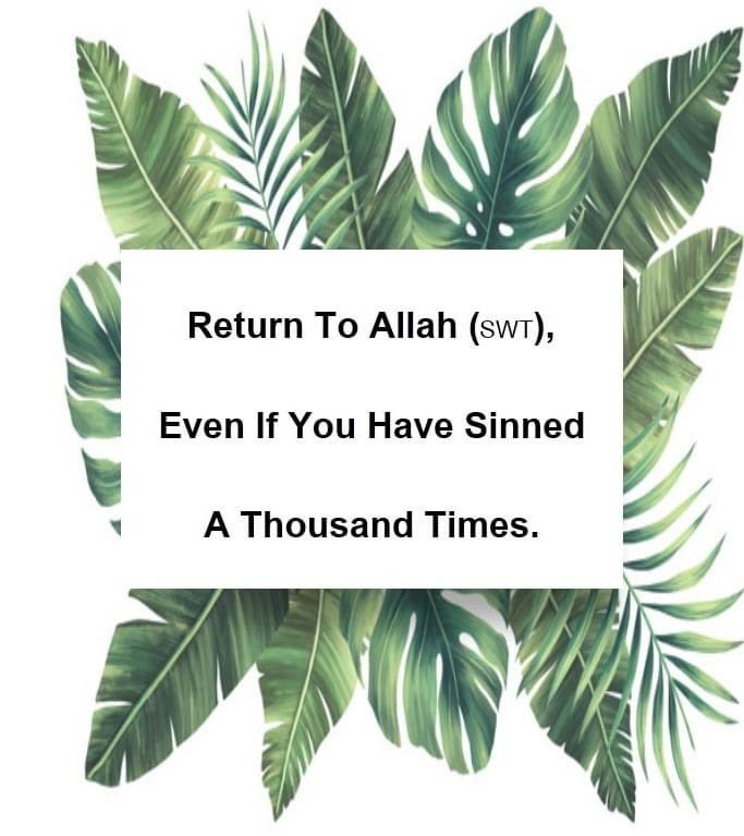 Let’s put our trust in Allah - in Allah do pious hearts find peace.