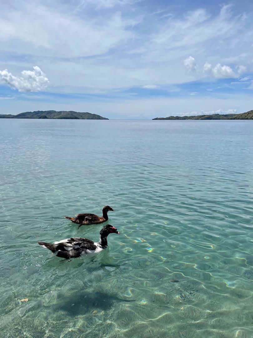 Zanzibar ? NO 
Maldives? NO 
KALEMIE ? YES 
Come discover with us! 
#TANGANYIKA #DISCOVERTANGANYIKA #RDC #Tourism #lake