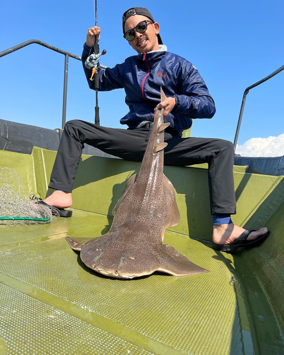 FcAngler's tweet photo. 竿ひん曲がってます🤣
推定２０キロ🤝
#FcAngler 
#怪魚ハンター
#シャーク
#カスザメ https://t.co/aNbIESlnaF