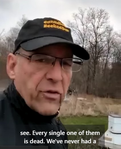 610CKTB's tweet image. NEWS | Millions of bees found dead in Niagara. Details: iheartradio.ca/610cktb/1.1771…