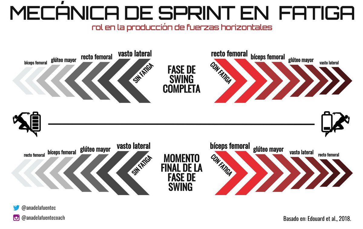 anadelafuentec's tweet photo. SPRINT EN FATIGA🏃🏻‍♂️🔋⁣

Actividad musc en sprint con y sin fatiga➡️ cambios en el protagonismo de grupos musc implicados⁣
⁣
🔸En fatiga, la generación de F horiz depende más de BF y GM, debido a la ⬇️F del vasto lateral.⁣⁣ Con ello, si debilidad glútea, ⬆️riesgo de lesión IQ. https://t.co/QD19pClvfv