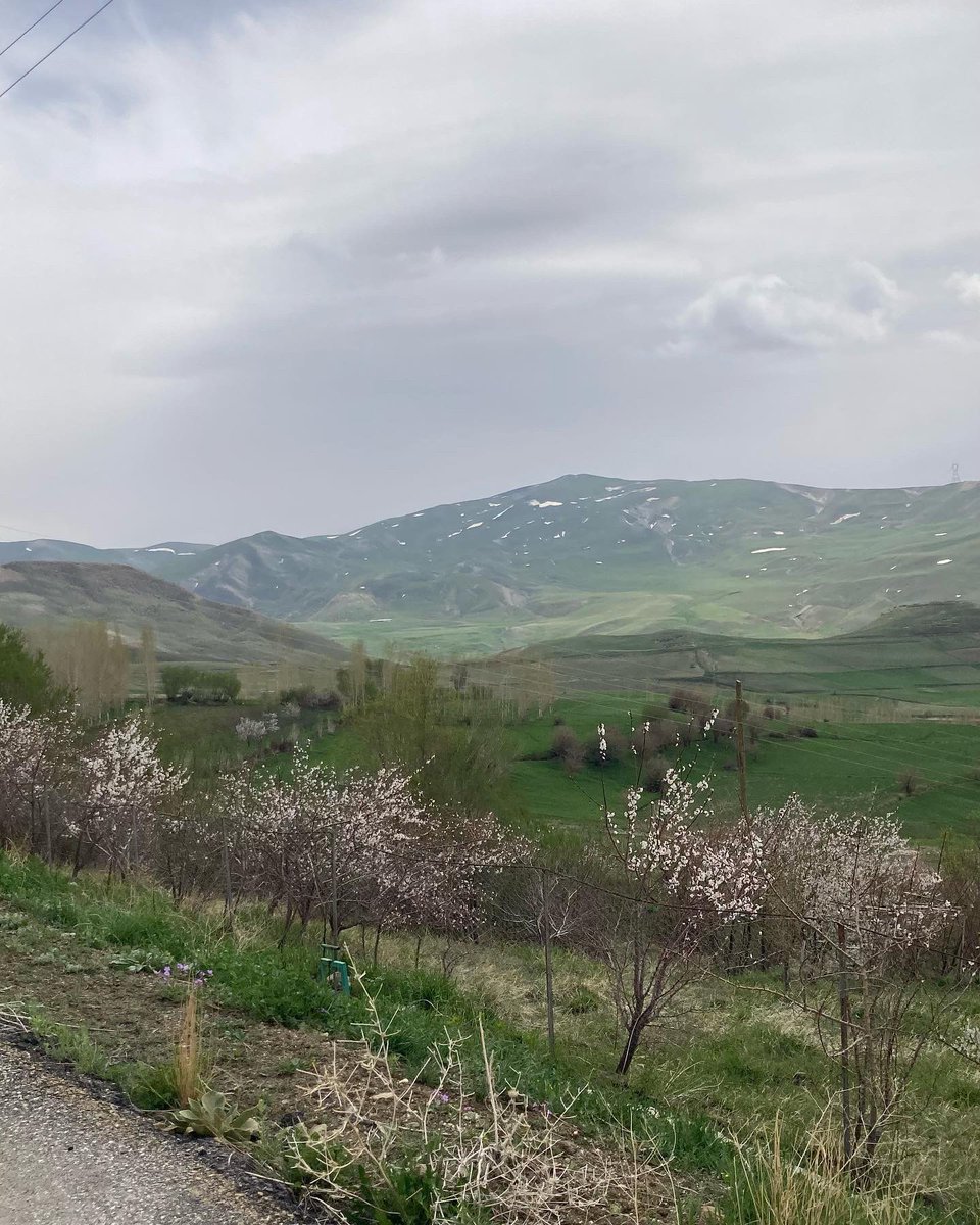 yusufbicervan's tweet photo. Erek dağı eteklerinde muhteşem doğasıyla, yeşiliyle bakraçlı köyü / Van 
#van #vanturkey #bisiklet #biking #bikelife #bike https://t.co/J3BcdNPgsA