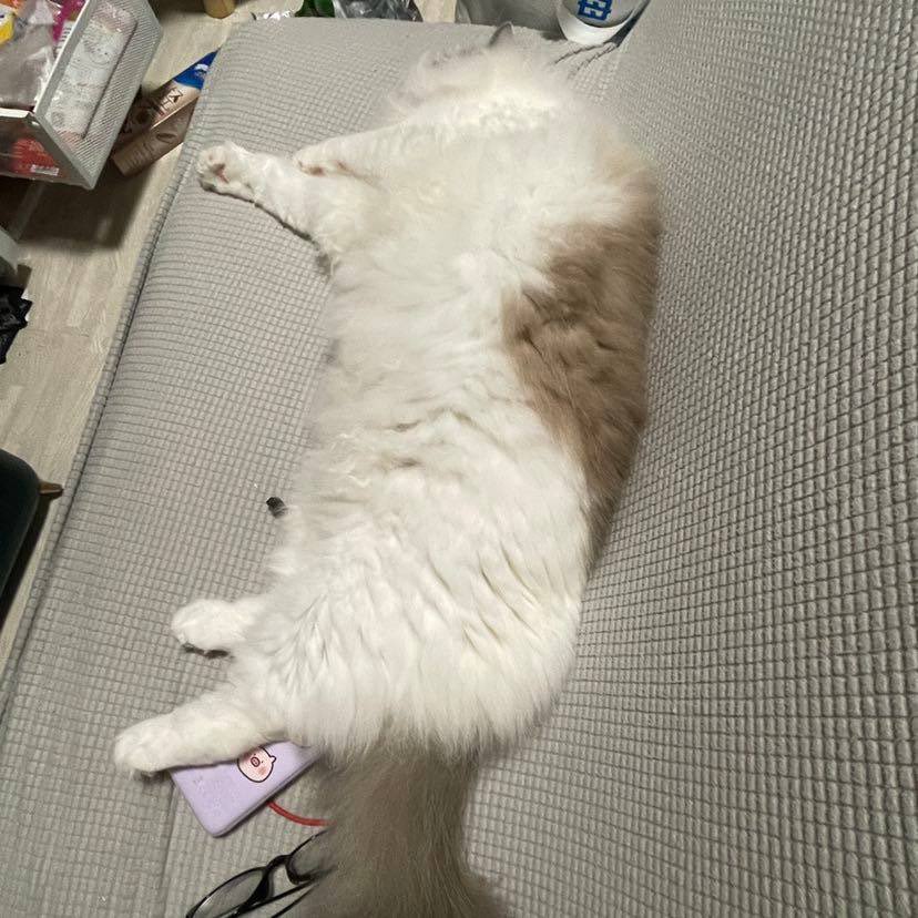 暖暖包在中國叫什麼？