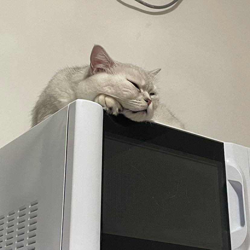 貼的暖暖包 怎麼用? 貼的暖暖包 怎麼用?