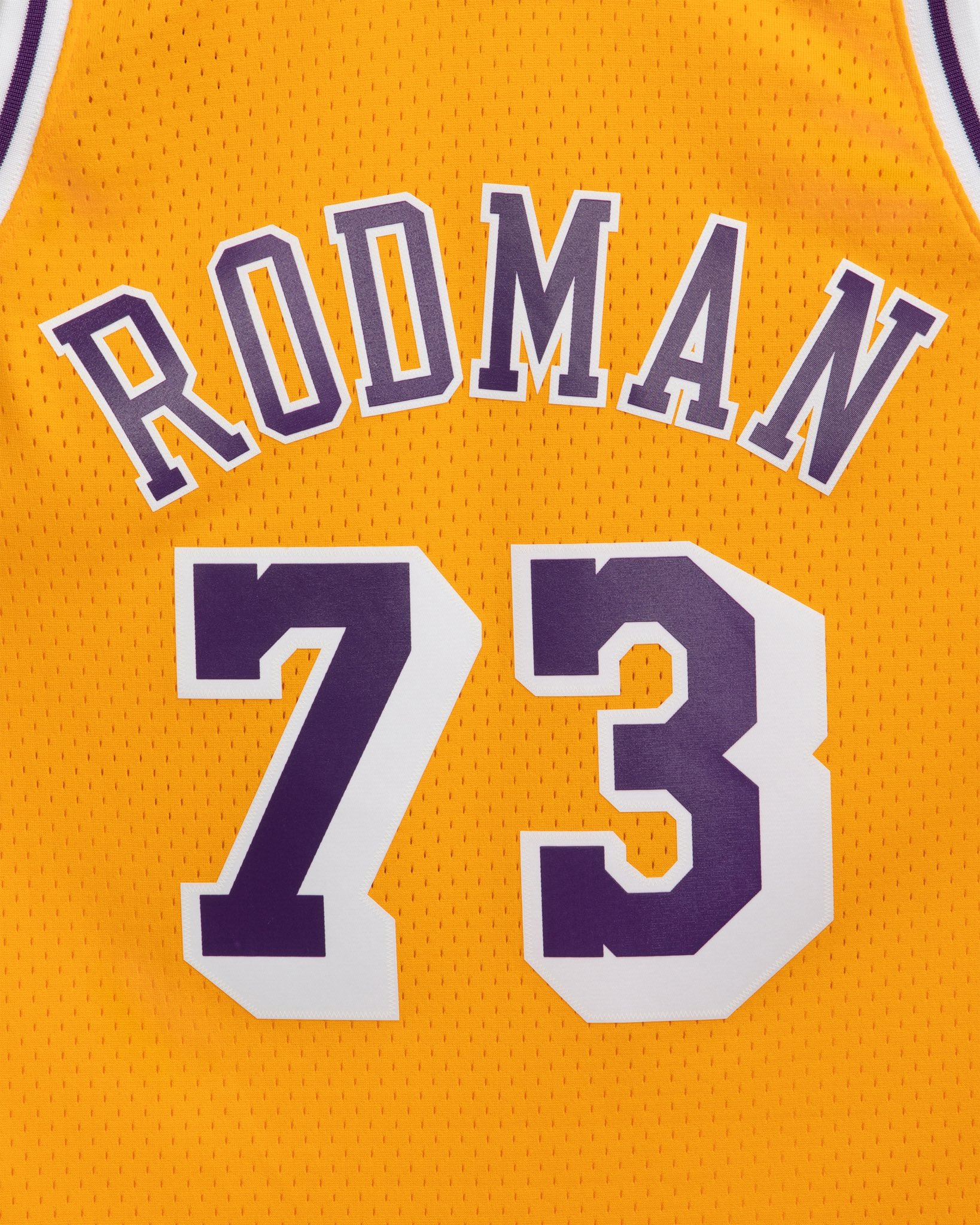 Mitchell & Ness on X: The Worm in purple and gold. The 1998-99 Dennis  Rodman Los Angeles Lakers Swingman Jersey is now available at    / X