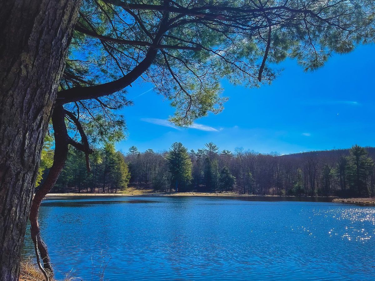 Visit_NJ's tweet photo. Find your zen in New Jersey.
📍 Stokes State Forest, Sandyston Township, New Jersey 
.
.
.
📷: @emmygoesexploring1 (via Instagram)
#VisitNJ #NewJersey #Stokes #StokesStateForest #SandystonTownship #NJHikes #NJHiking #NJParks https://t.co/8i20DhHDLX