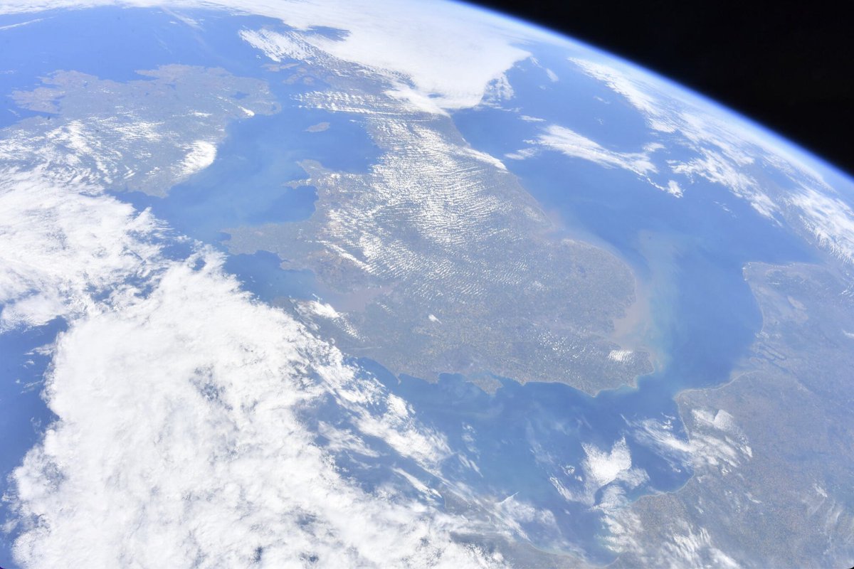 Michael L-A tweet media