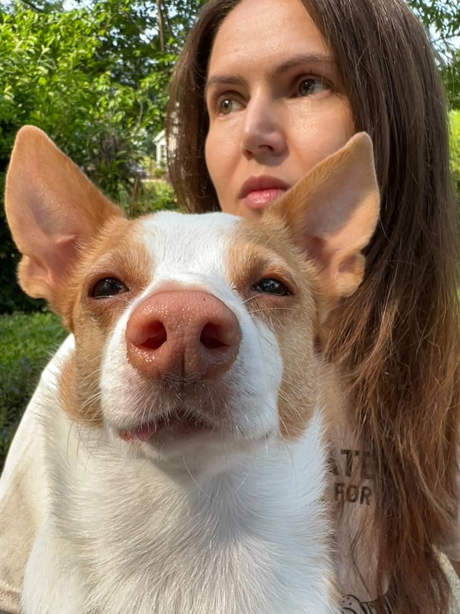 BarkyBo's tweet photo. Why do I look so tired? Because I had a sleepless night after learning the #SupremeCourt plans to overturn #RoeVWade 

The #senate must pass legislation to codify Roe v Wade as law. We can’t go back!
#prochoice https://t.co/iPzgIwOaYP