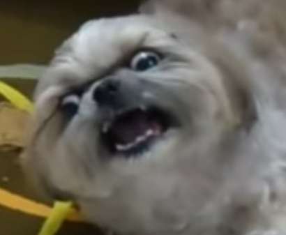 Groznor (@groznor42) on Twitter photo 