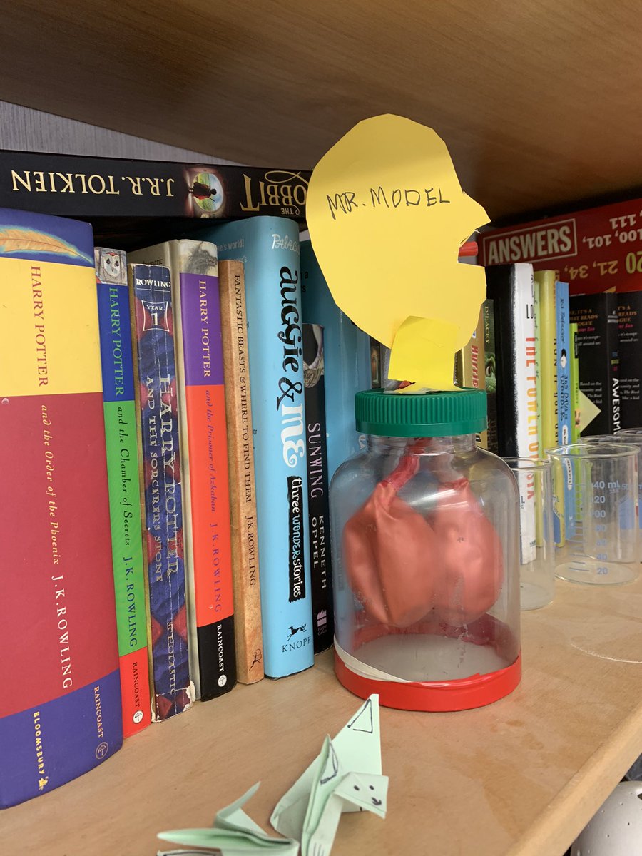 Ms__LAnderson's tweet photo. Science Fair is in t-minus two days!!! Things are looking great in 5-1. @CoulsonPS https://t.co/wgMwB63b2B