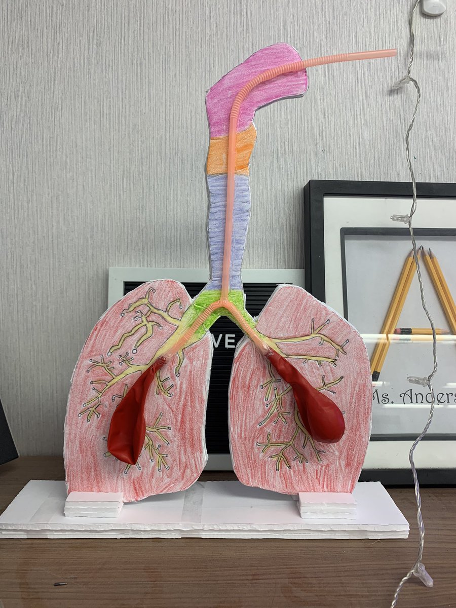 Ms__LAnderson's tweet photo. Science Fair is in t-minus two days!!! Things are looking great in 5-1. @CoulsonPS https://t.co/wgMwB63b2B