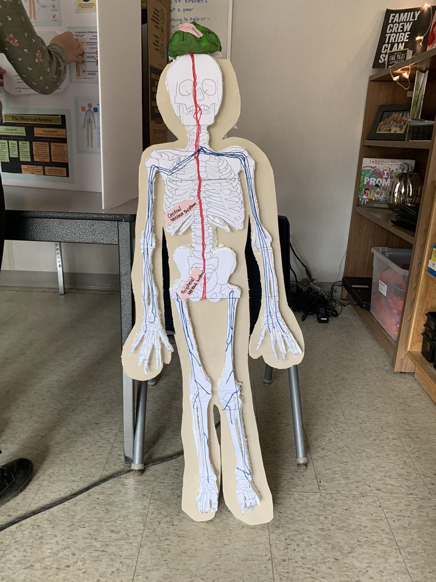 Ms__LAnderson's tweet photo. Science Fair is in t-minus two days!!! Things are looking great in 5-1. @CoulsonPS https://t.co/wgMwB63b2B