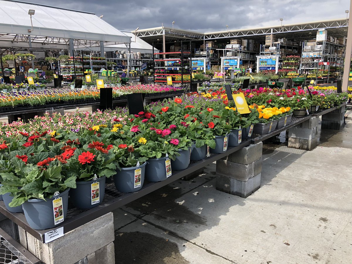 AlanF-Battlefieldfarms tweet media