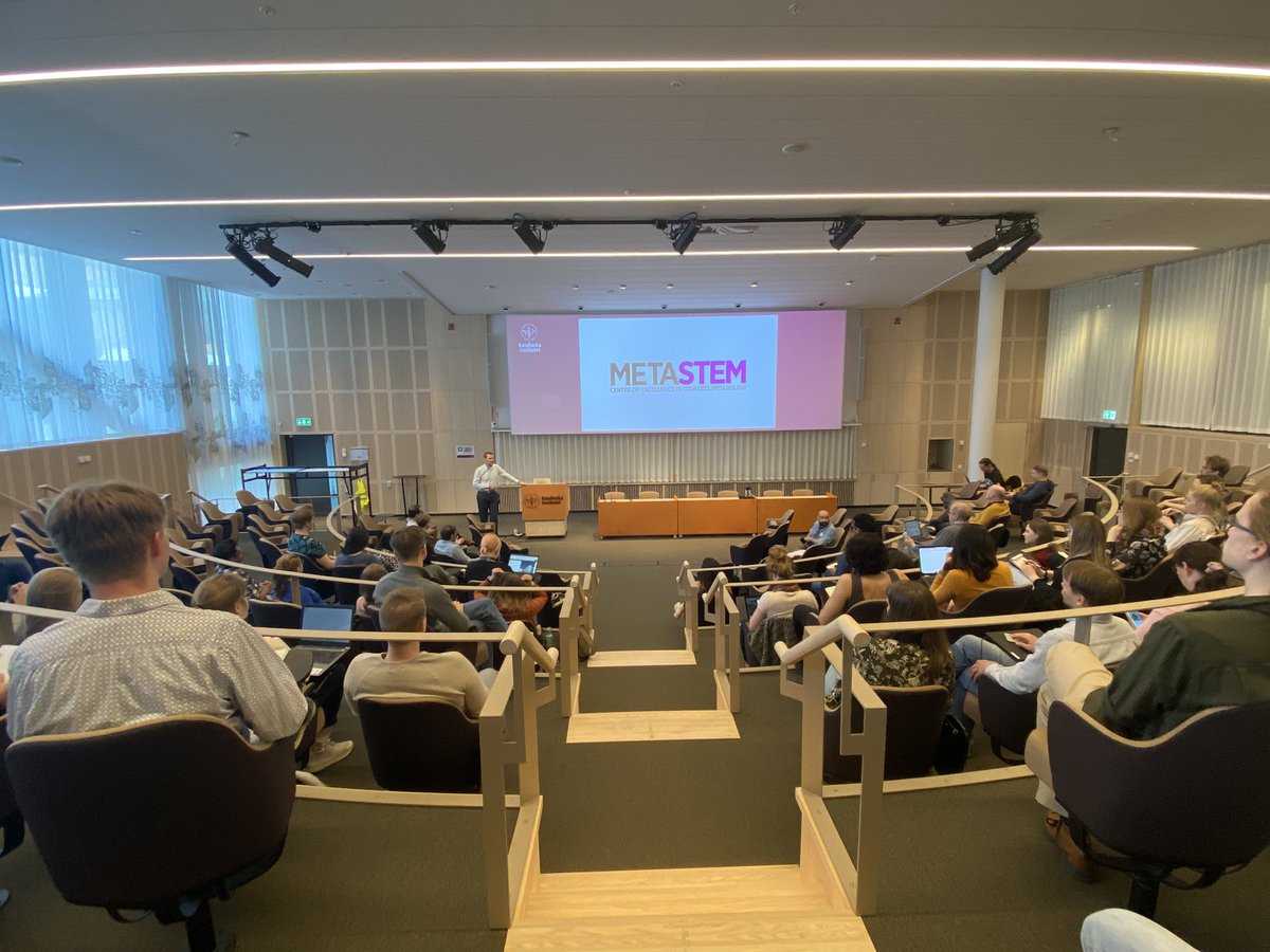 MetaStem tweet media