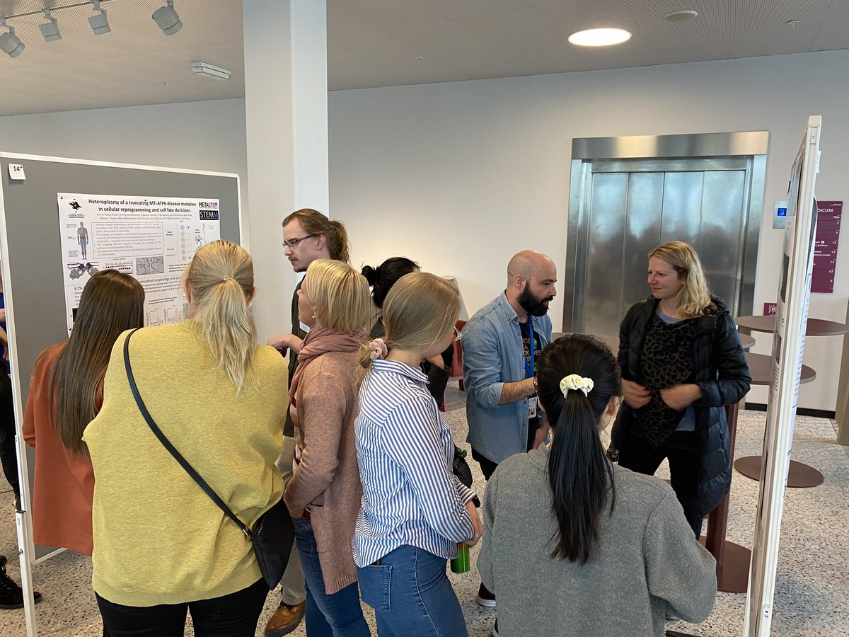 MetaStem tweet media