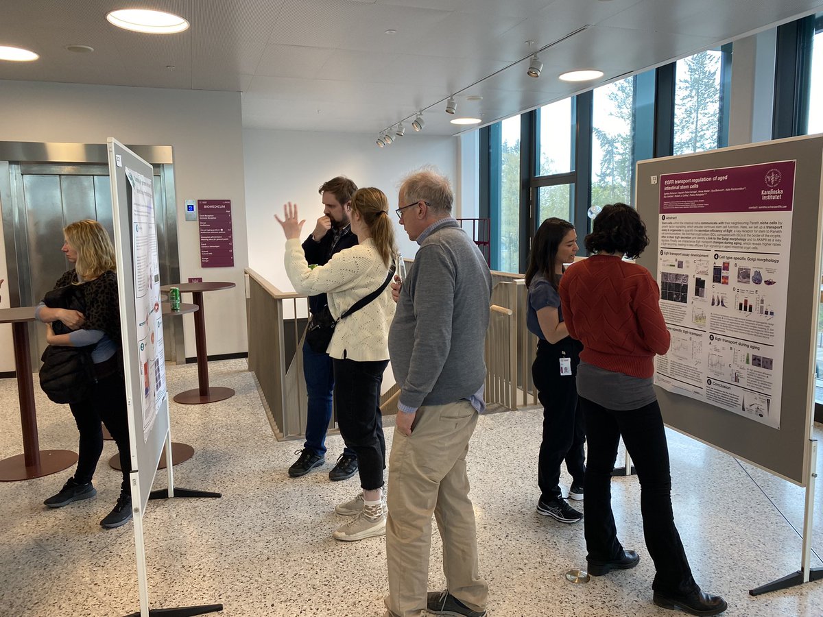 MetaStem tweet media