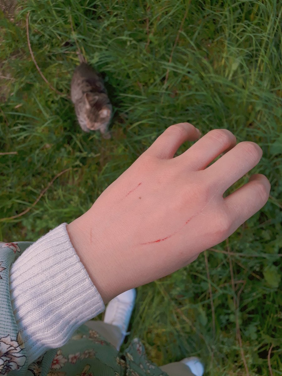 Kedi, sevgilisinde muhakkak tırmık izi bırakır