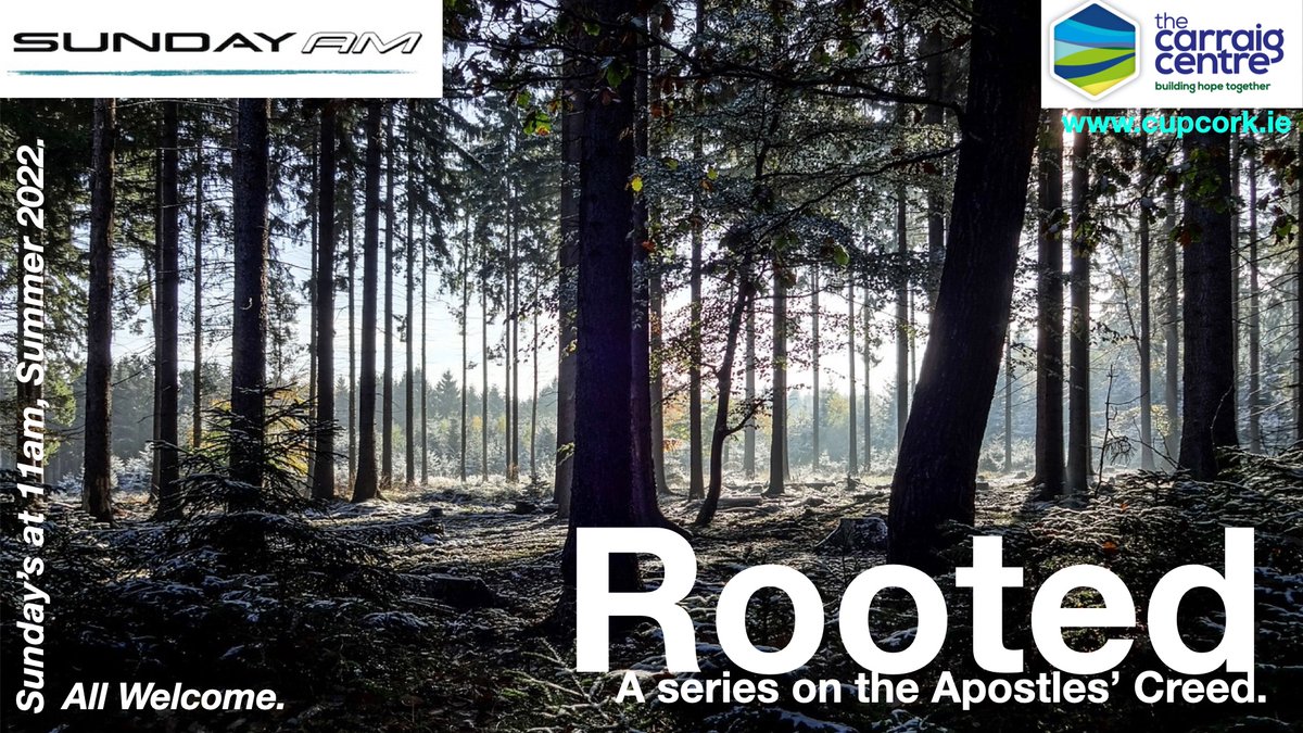 MattGould1981's tweet photo. Our new summer series - called 'Rooted' starts this week in church. I'm looking forward to it and if you are around Ballincollig, Cork, sure there are worse places to be at 11am on a Sunday! https://t.co/0v4f6K9731