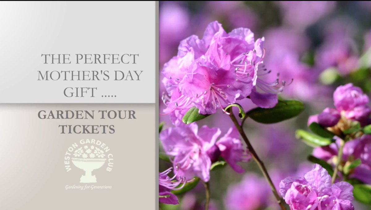 Mother's Day is around the corner and The Weston Garden Club has a terrific idea.  A gift for your mother and a gift for you too! Go together :) Tickets to the June 4th Garden Tour.  Watch this PSA, at the end is a QR code to purchase your tickets!  …2.execute-api.us-west-2.amazonaws.com/ssr/watch/626e…