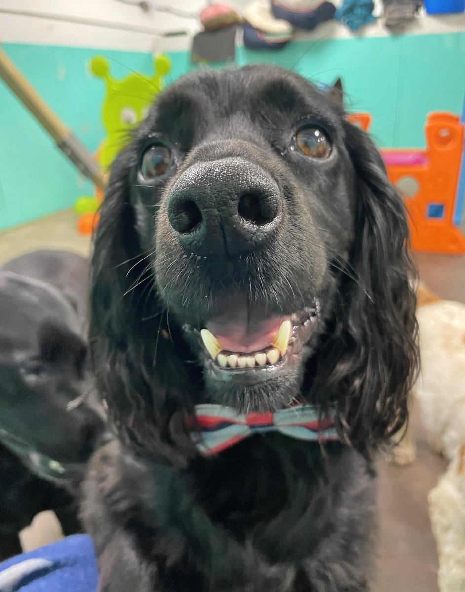 I fuckin love ma wain so much