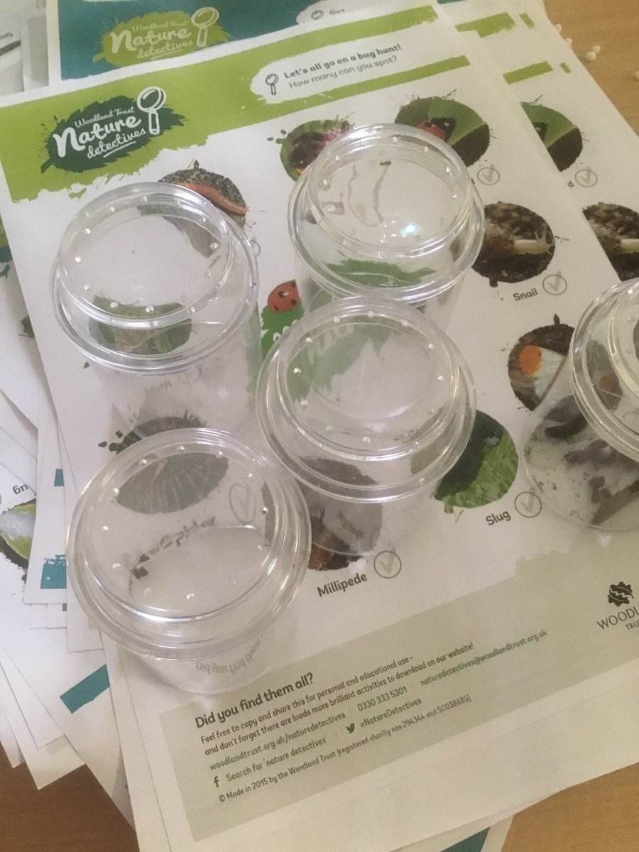 FS2 Teacher tweet media