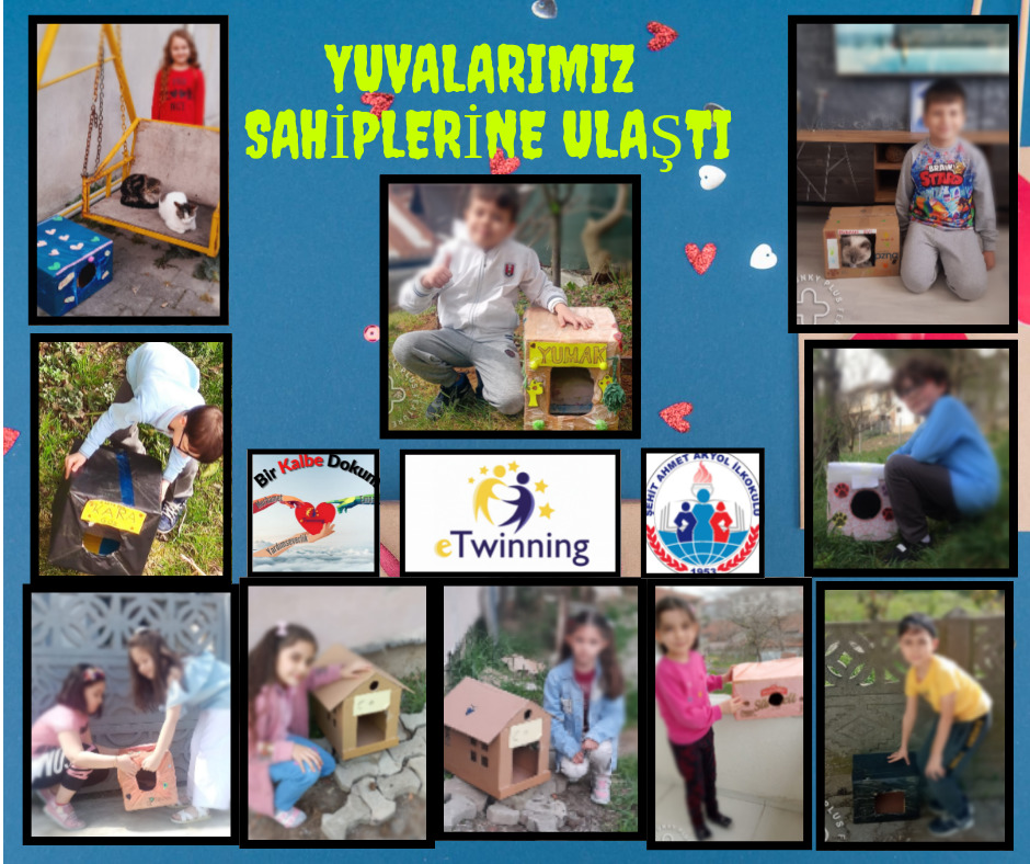 melikeky78's tweet photo. @BirDokun @sakaryamem @adapazarimem @sakarya_arge @YAkaltn @cumhurkarasu54 @gokhannalbayrak @Egitimsen_54 @eoedan 
Bir Kalbe Dokun adlı eTwinning projemizin Yardımlaşma değeri temalı Sokaktaki Canlara Yardım Elini Uzat etkinliğimiz -Melike Kaya/ŞEHİT AHMET AKYOL İLKOKULU https://t.co/aqCNvNP7hF