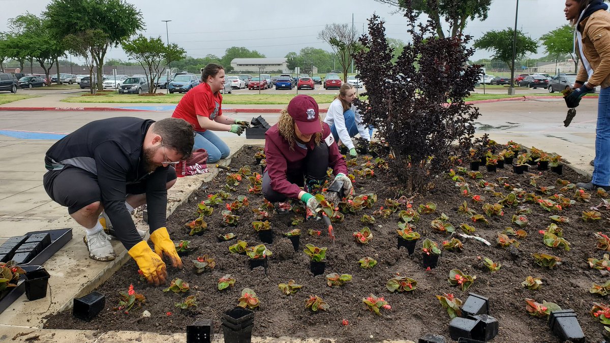 RowlettChamber's tweet photo. Leadership Rowlett planting flowers at @RHS_Eagles for their class project! @BlakeyNet is leading the charge! 

#lr30 #leadershiprowlett @gisdnews https://t.co/YDTfwnUiqk