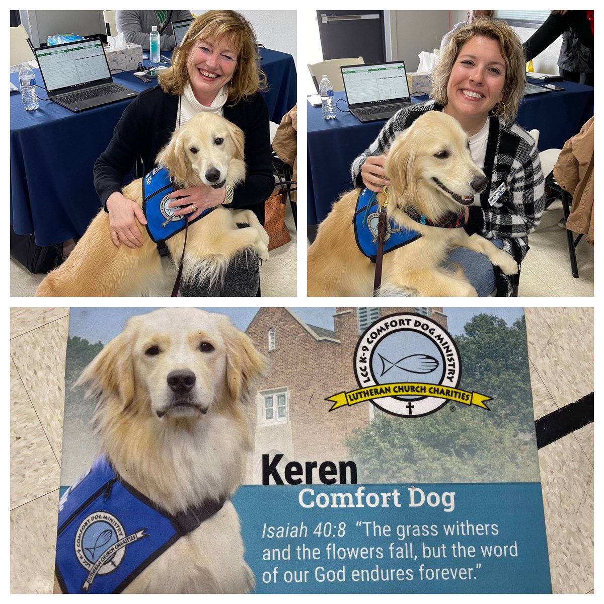 angieprath's tweet photo. The LCC K-9 Comfort Dog is visiting the Andover Community Center Residential Disaster Relief Center today. ๐ถ This sweet hard-working pup, Keren, provides comfort five days a week wherever sheโs needed. Canโt think of a better spot for her to be. #andoverstrong #dogsarethebest https://t.co/bfJ0lXJzhu