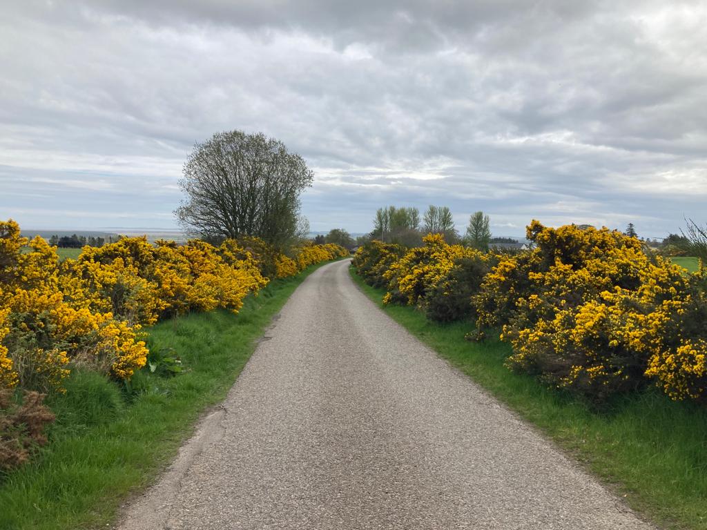 Kimberly_ENABLE tweet media