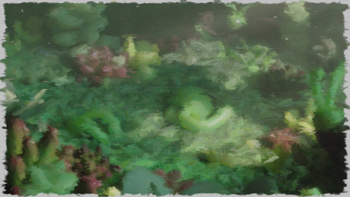 green071_'s tweet photo. Blenderジオメトリノードで絵画風エフェクト作ってみた
#B3d #geometrynodes 
参考↓
https://t.co/Z5kZR2KV2f https://t.co/pF1c9d9pTw