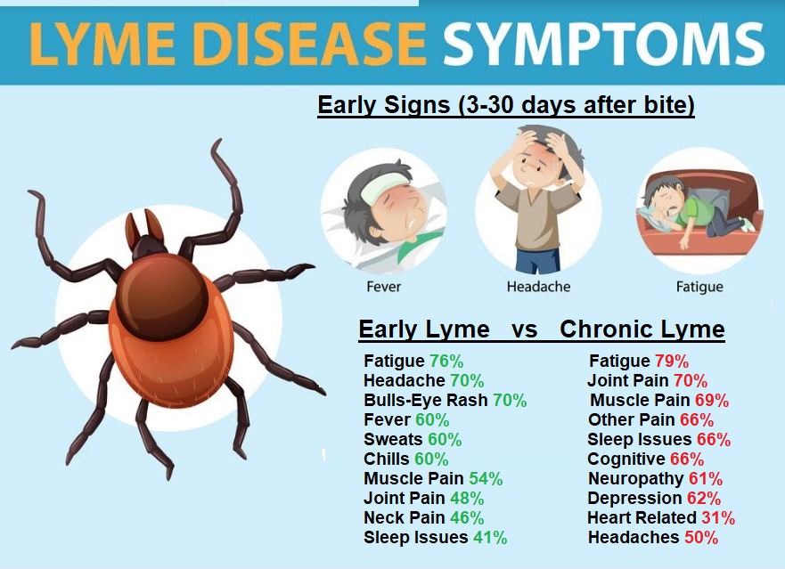 CityofDeltaBC's tweet photo. May is #LymeDiseaseAwareness Month and an opportunity to help spread information & awareness on how to prevent Lyme & tick-borne diseases. Learn the early signs.
#DeltaBC City Hall is lit in green to #LightupforLyme for #LymeDiseaseAwareness Month. #BCLyme https://t.co/riyF66Vkhy