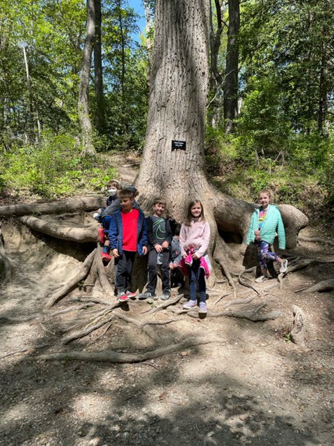 RachelGrade1's tweet photo. We had a great time on our field trip to Mount Vernon last week. @MountVernon https://t.co/jVbzIH8Aji