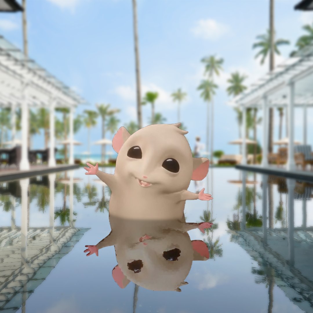 ROHamsters's tweet photo. You may have heard of a doggy paddle, but when you get to Sanchaya you’ll get to see some badass Hamster paddle.
#Roborovski #RoboJournal https://t.co/4q8HyoWtXz