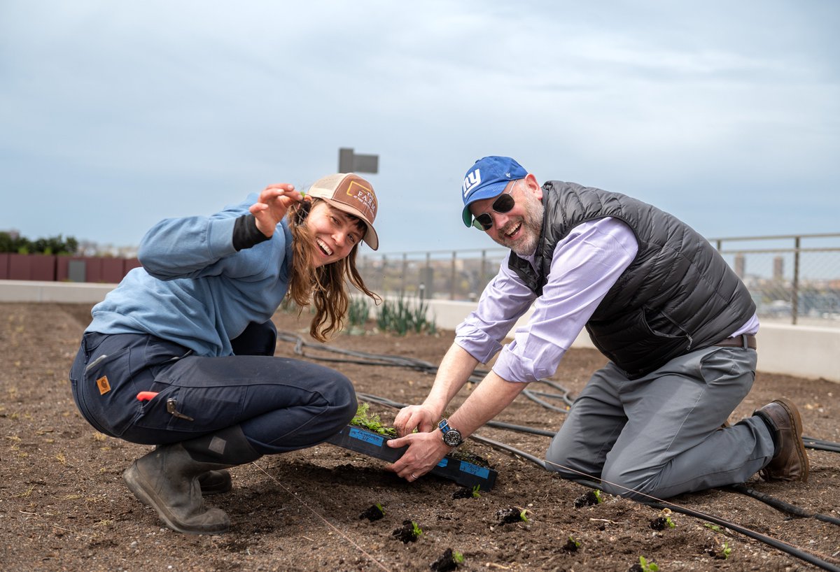 javitscenter's tweet photo. Love seeing our employees volunteering on The Farm! This is its first full season so we invited staffers to lend a hand to our farmers @BrooklynGrange! Sustainability is a core value for us & it’s great getting dirty for the sake of being green! #farmlife #rooftotable #teamjavits https://t.co/jzQp9lShE3