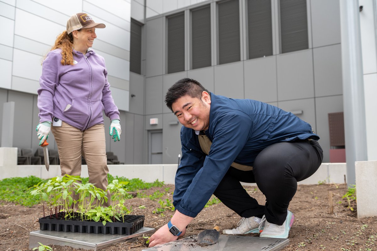 javitscenter's tweet photo. Love seeing our employees volunteering on The Farm! This is its first full season so we invited staffers to lend a hand to our farmers @BrooklynGrange! Sustainability is a core value for us & it’s great getting dirty for the sake of being green! #farmlife #rooftotable #teamjavits https://t.co/jzQp9lShE3