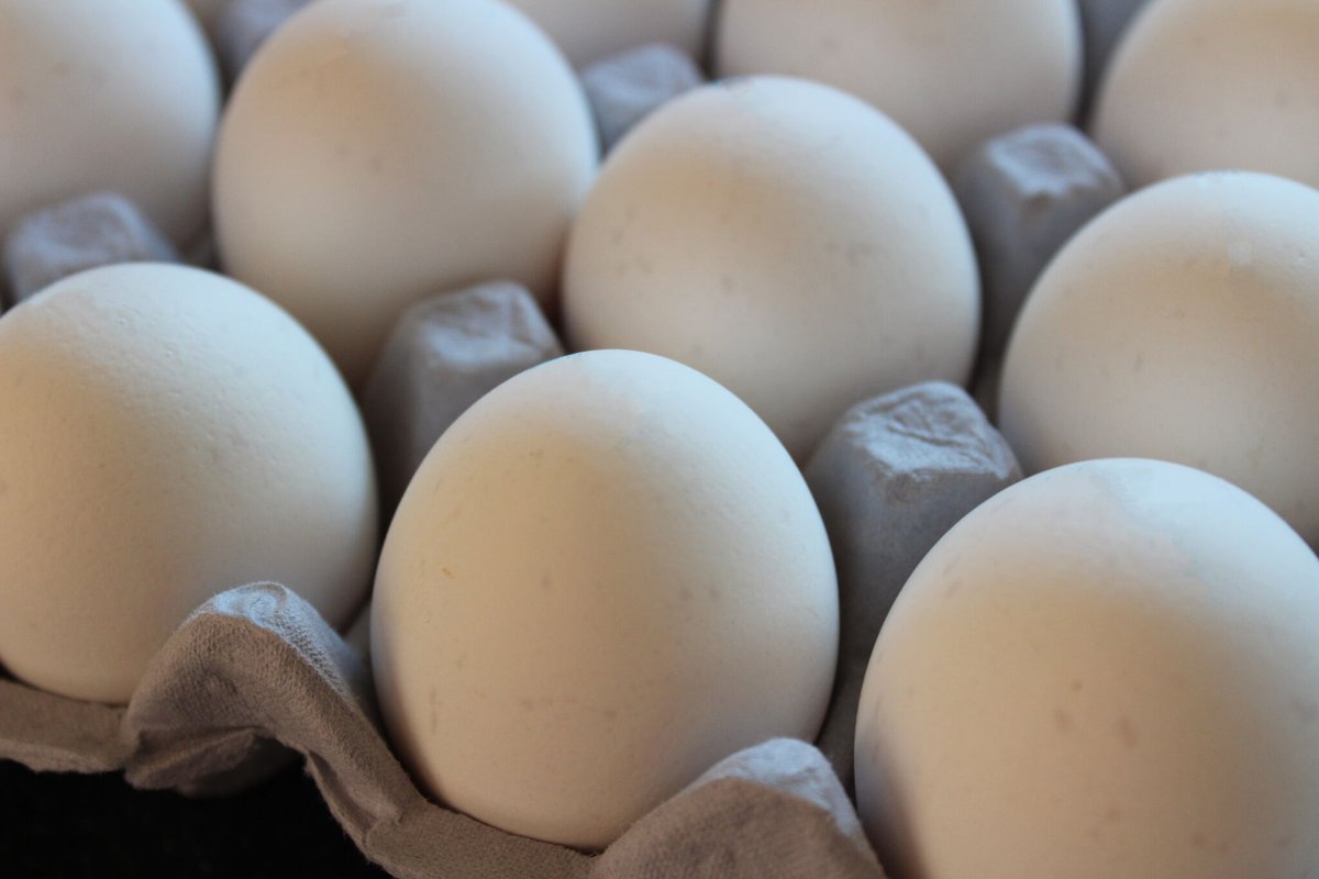 ekomenu's tweet image. TIJDELIJK! Witte eieren van EIBAAR 🥚Helaas kan onze vaste leverancier van de biologische eieren zorgboerderij ’t Paradijs de komende tijd geen eieren leveren. Dit heeft te maken met de vogelgriep. Daarom gaan wij tijdelijk over op de eieren van EIBAAR.