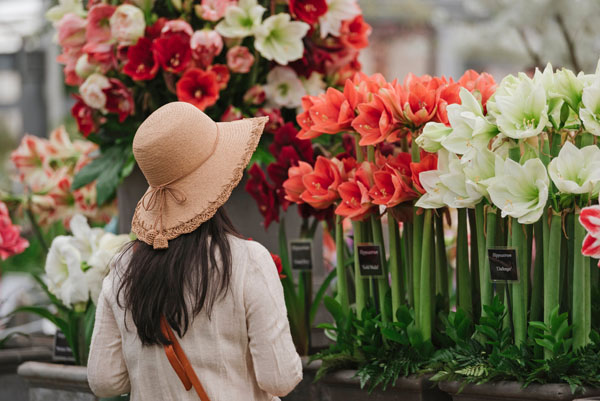 Music Rush Magazine tweet media