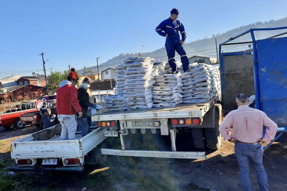 IndapBiobio's tweet photo. 📍En la comuna de Santa Bárbara se inició la entrega de insumos correspondientes a 50.000 kg de base fosfatada para la ejecución de 40 planes de manejo del programa #SIRSD del Área Indap Santa Bárbara. 🌾 @IndapBiobio @INDAP_Chile https://t.co/6foKtjhUdU