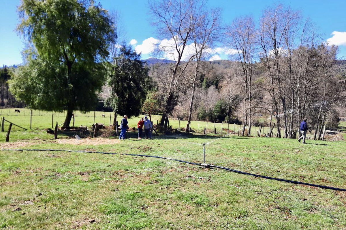 IndapBiobio's tweet photo. 📍En la comuna de Santa Bárbara se inició la entrega de insumos correspondientes a 50.000 kg de base fosfatada para la ejecución de 40 planes de manejo del programa #SIRSD del Área Indap Santa Bárbara. 🌾 @IndapBiobio @INDAP_Chile https://t.co/6foKtjhUdU