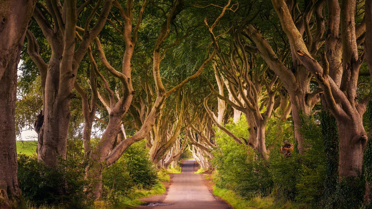 For all of you Game of Thrones fans out there...The show may be over but the locations where they shot are a must-visit for fans! Thanks to <a href="/FairytaleTVLR/">Christa Thompson ✨️🛩</a> for sharing this great information.

ow.ly/NYaK50IW9yh

#GameOfThrones <a href="/HBO/">HBO</a> <a href="/GameOfThrones/">Game of Thrones</a> <a href="/geeklifehappens/">Heroes & Unicorns</a> #Dragons
