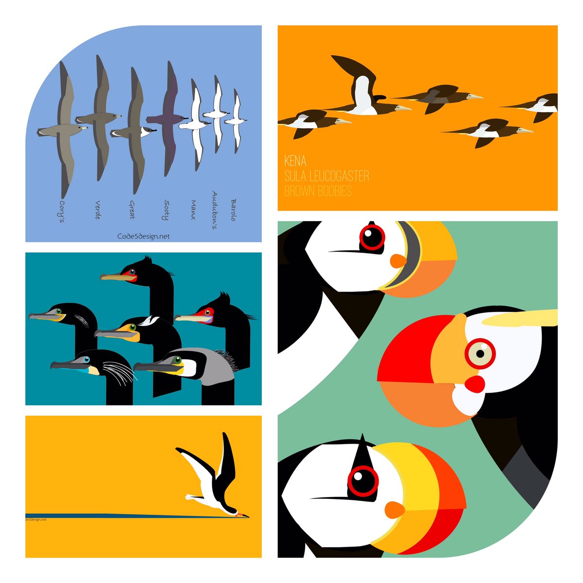 Code5Design's tweet photo. #Conservation is enabled by visibility.  Most will never see #seabirds beyond coastal #gulls and #pelicans.  We illustrate marine birds on t-shirts and stickers as a way of reaching a larger populations who might ask “What is that?” #WSTC8 #ArtSesh #Scicomm https://t.co/Mmd3pk6EwN