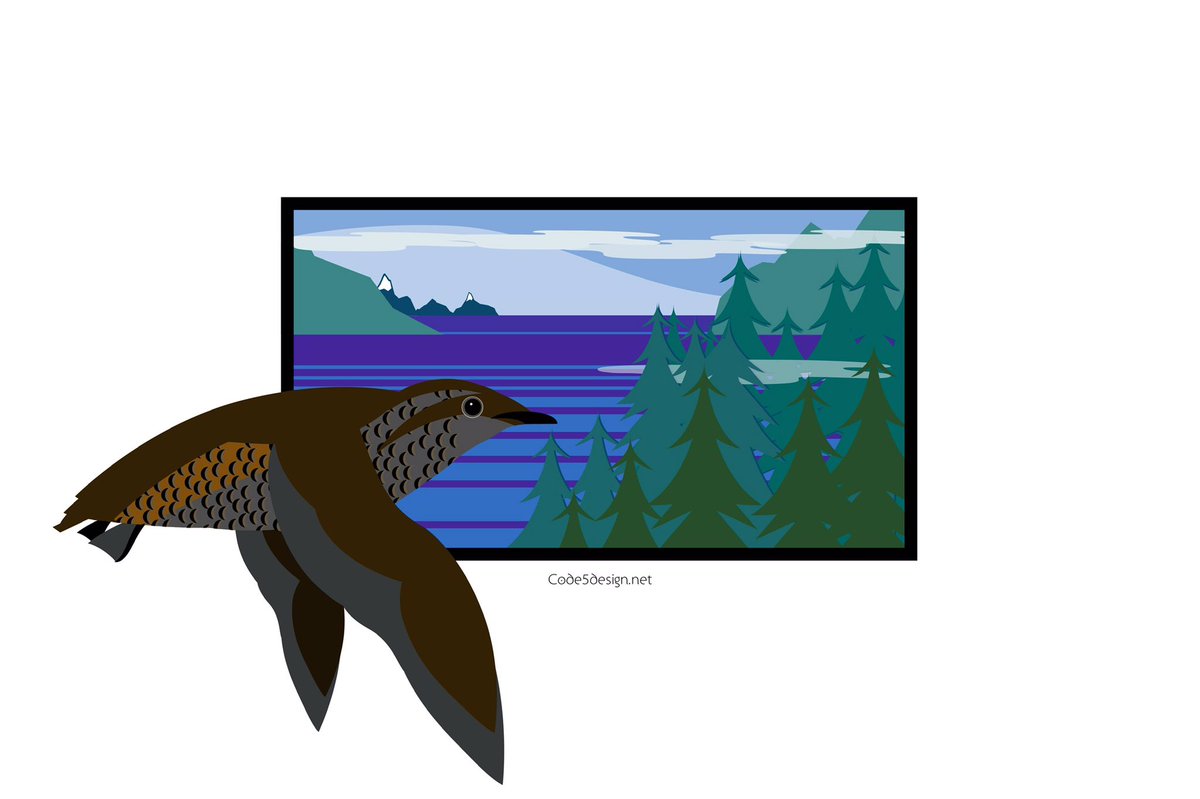 Code5Design's tweet photo. Every exposure of a new person to the richness of #seabird diversity and their roles in marine ecosystems is the potential creation of a new ally. #WSTC8 #ArtSesh #Scicomm https://t.co/Ry8G7BY4cY