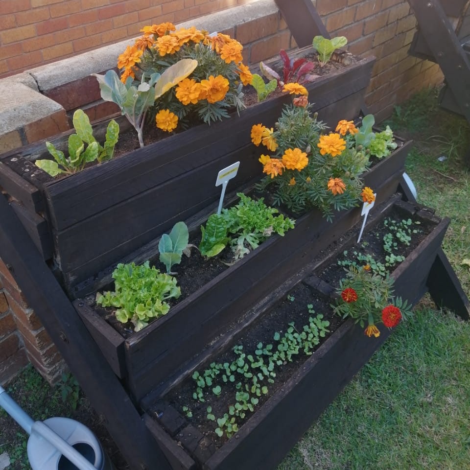 UJ Botany and Plant Biotechnology tweet media