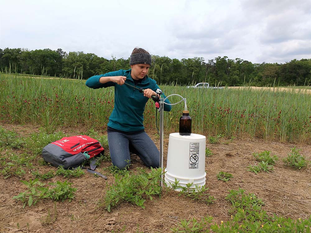 Researchers at <a href="/UofMaryland/">Univ. of Maryland</a> show early planting is critical so #covercrops can clean up residual #soil nitrogen in fall and protect #groundwater from nitrate leaching during winter &amp; spring <a href="/rayweil/">Ray R. Weil</a> 

find out more: doi.org/10.1002/jeq2.2…
