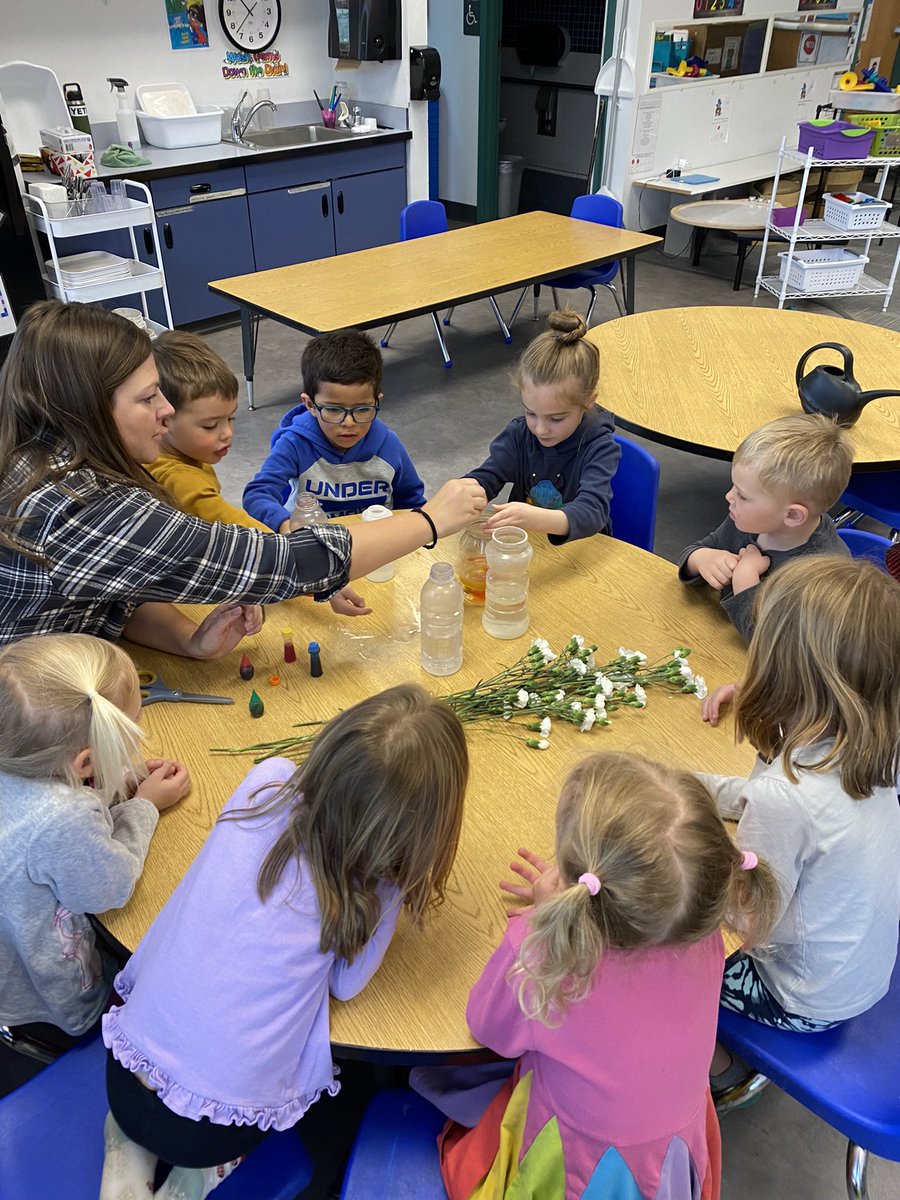 MissAlyssaPreK's tweet photo. During our I Am Alive UOI we have been talking a lot about how plants are alive! We’re getting ready to plant some flowers and beans now that it’s nice out. Today we did a fun experiment and predicted if the white flowers would turn colors if they were in colored water. #SCoveEl https://t.co/kcEY93lhXd