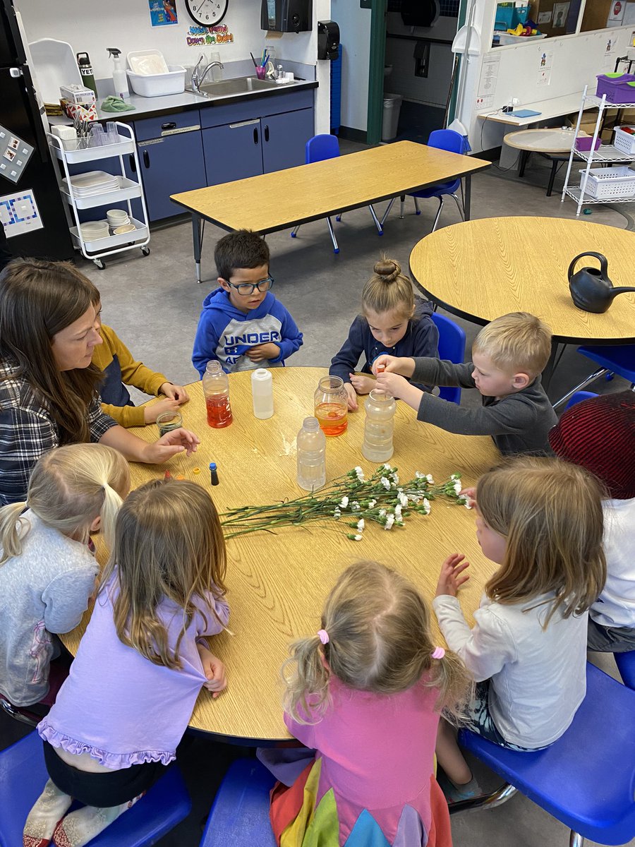 MissAlyssaPreK's tweet photo. During our I Am Alive UOI we have been talking a lot about how plants are alive! We’re getting ready to plant some flowers and beans now that it’s nice out. Today we did a fun experiment and predicted if the white flowers would turn colors if they were in colored water. #SCoveEl https://t.co/kcEY93lhXd