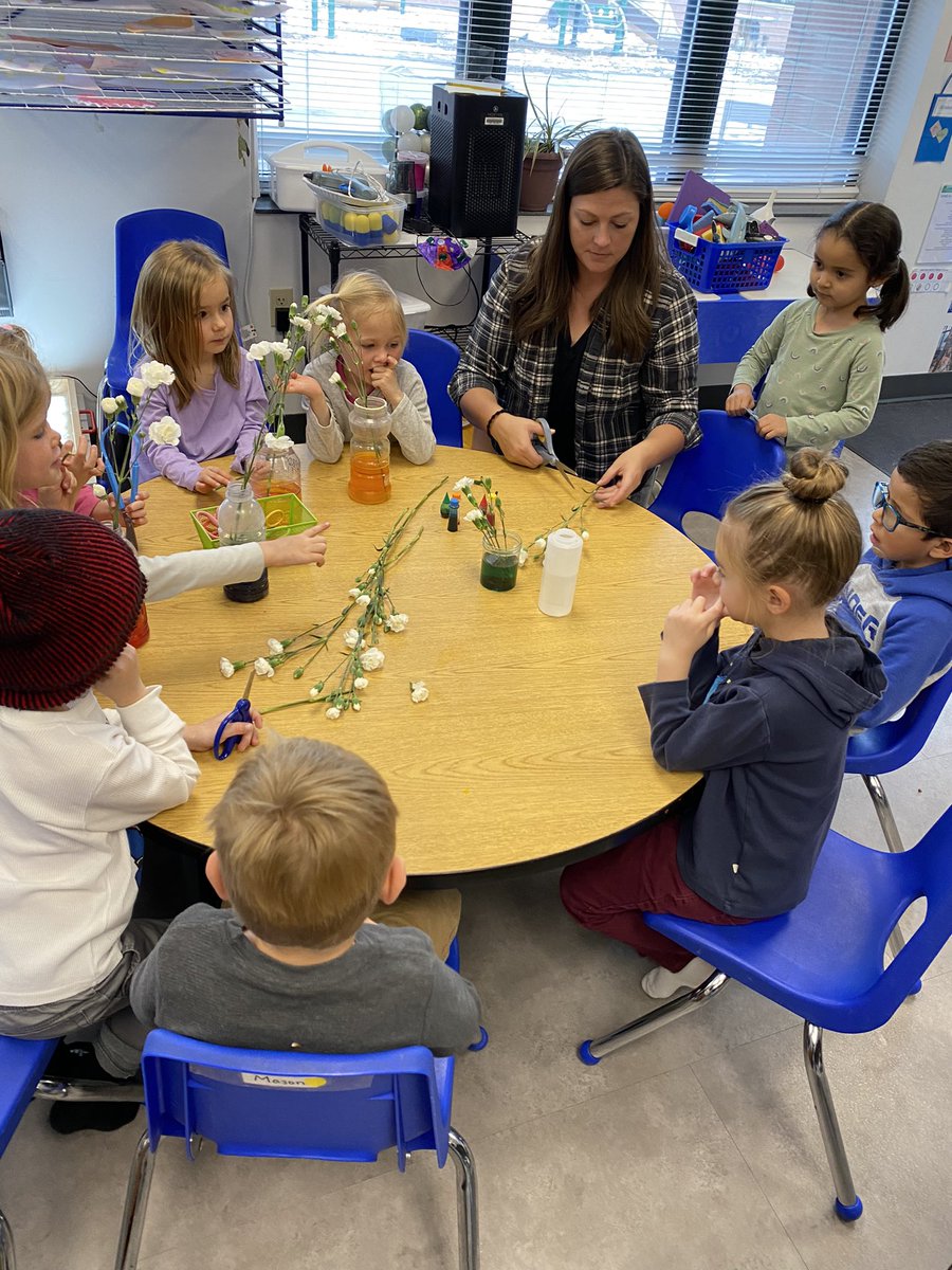 MissAlyssaPreK's tweet photo. During our I Am Alive UOI we have been talking a lot about how plants are alive! We’re getting ready to plant some flowers and beans now that it’s nice out. Today we did a fun experiment and predicted if the white flowers would turn colors if they were in colored water. #SCoveEl https://t.co/kcEY93lhXd