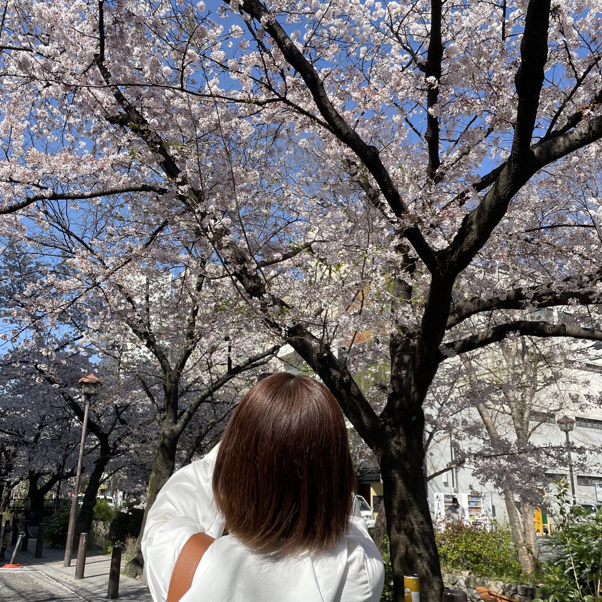 N5Rio's tweet photo. 春(2022) https://t.co/HNV5jzFNfS