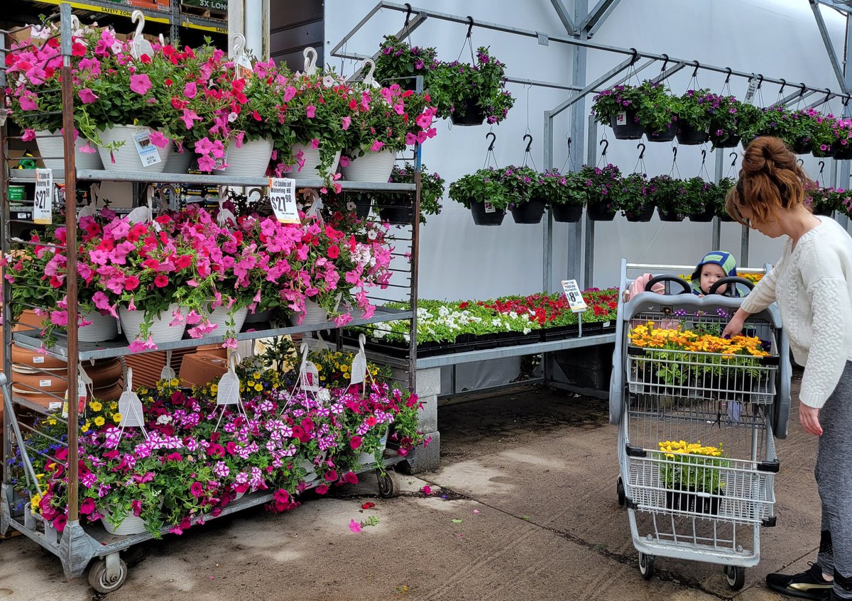 Helping mommy shop <a href="/THD6218/">Home Depot 6218</a> <a href="/MGIflowers/">Michaels Greenhouses</a>
